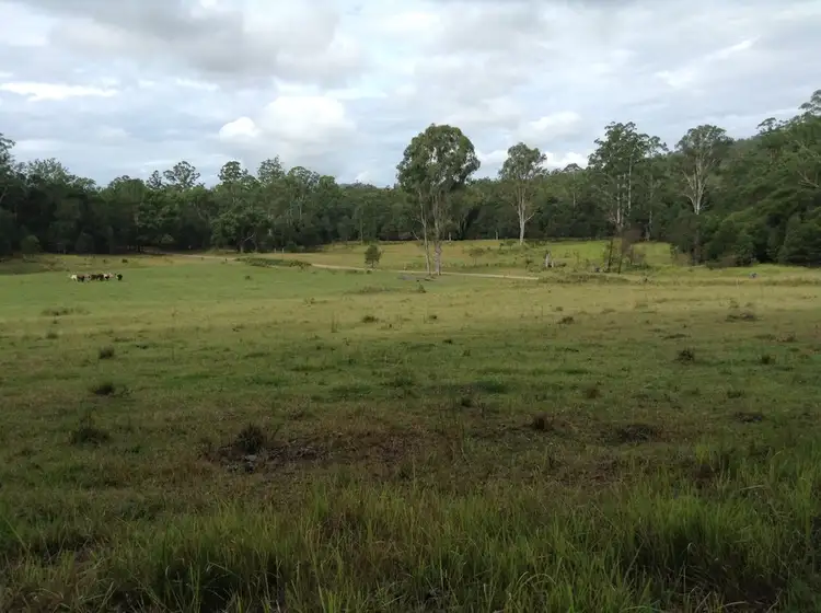 Fourth view of Homely rural property listing, Lot 53 Upper Fine Flower Rd, Upper Fine Flower NSW 2460
