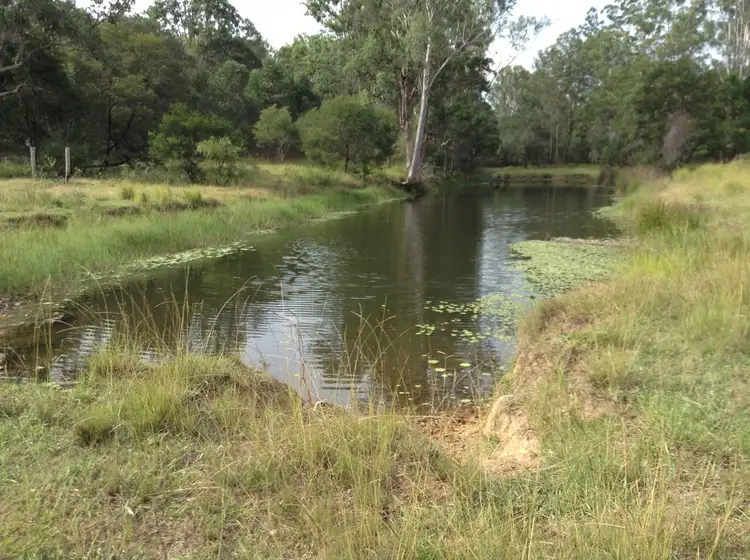 Fifth view of Homely rural property listing, Lot 53 Upper Fine Flower Rd, Upper Fine Flower NSW 2460