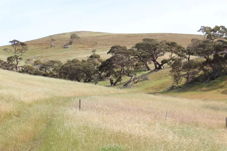 Third view of Homely rural property listing, Lot 17 Foothills Road, Tumby Bay SA 5605