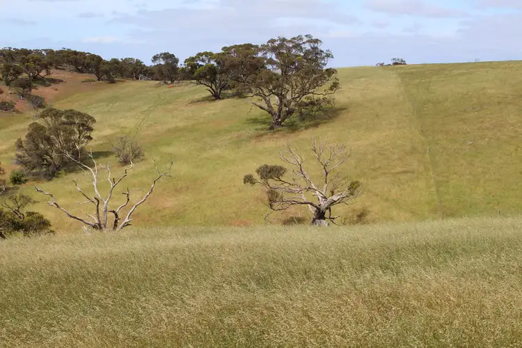 Sixth view of Homely rural property listing, Lot 17 Foothills Road, Tumby Bay SA 5605