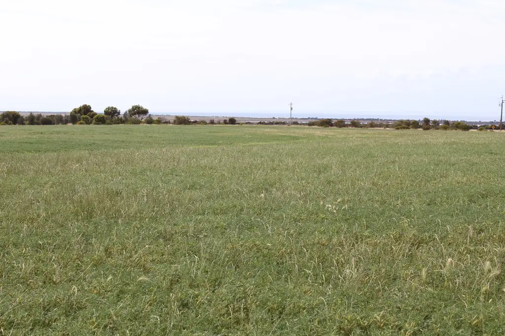 Main view of Homely rural property listing, Allotment 4 Bawdens Road, Tumby Bay SA 5605