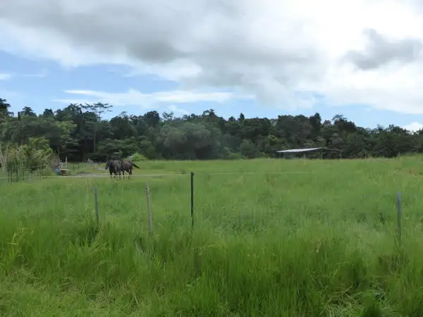 Seventh view of Homely rural property listing, Address available on request