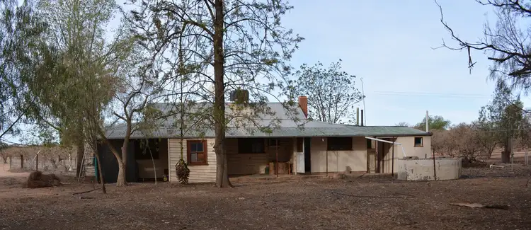Main view of Homely rural property listing, 91 Cemetery Road, Pooncarie NSW 2648