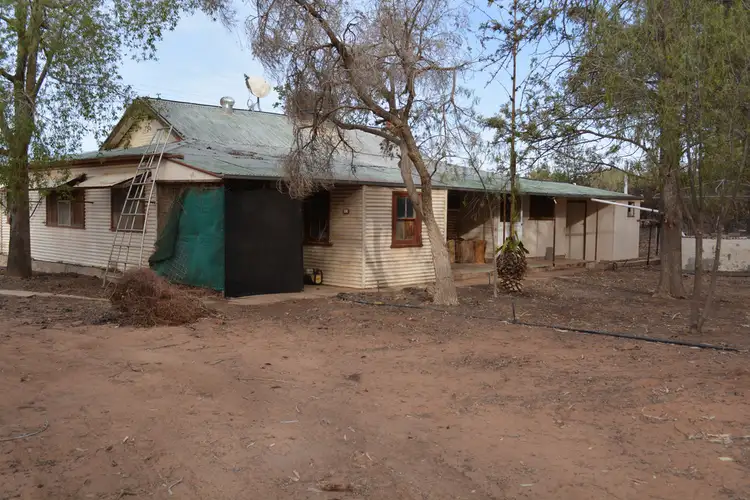 Second view of Homely rural property listing, 91 Cemetery Road, Pooncarie NSW 2648