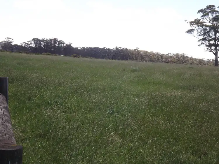 Third view of Homely land listing, Lot 1 & 2 Healey's Road, Marlo VIC 3888