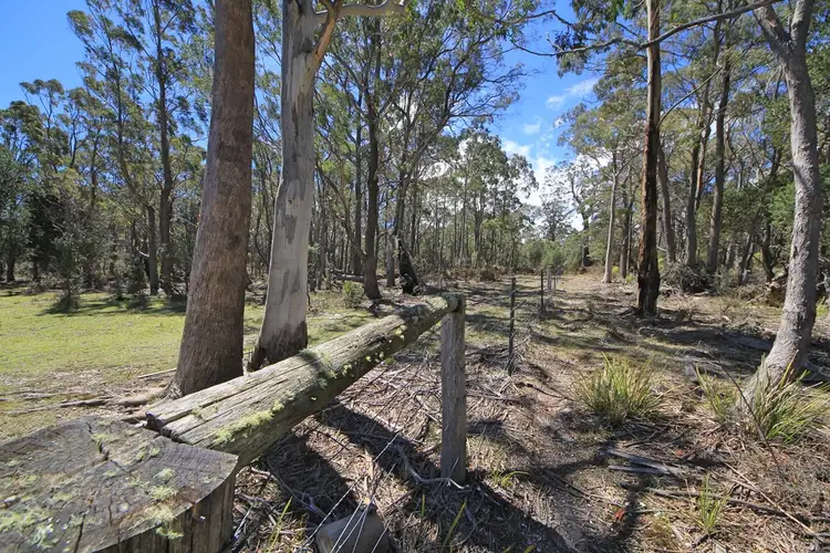 Second view of Homely rural property listing, Lot 1 Elephant Pass Road, St Marys TAS 7215