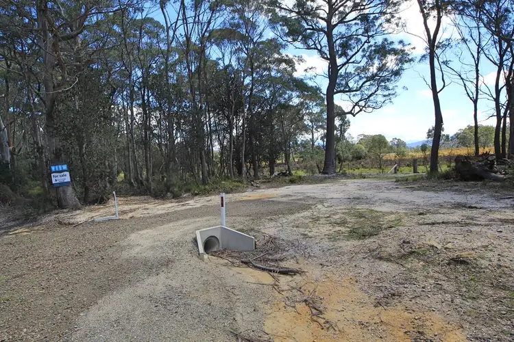 Third view of Homely rural property listing, Lot 1 Elephant Pass Road, St Marys TAS 7215