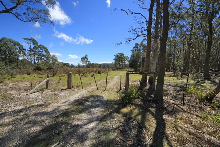Fourth view of Homely rural property listing, Lot 1 Elephant Pass Road, St Marys TAS 7215