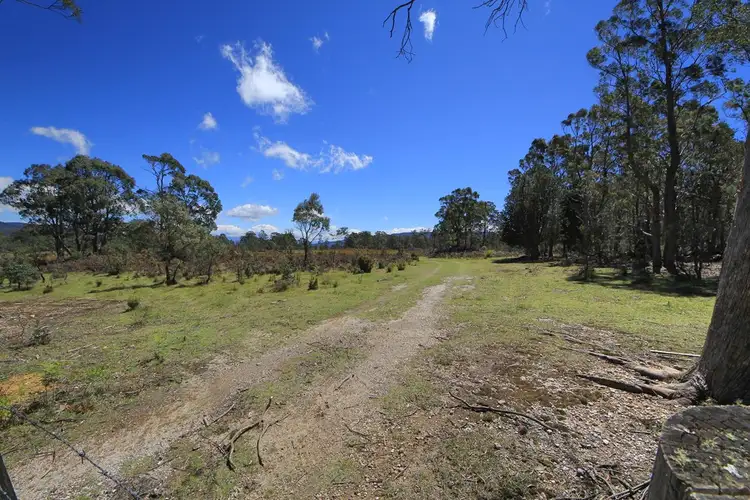 Fifth view of Homely rural property listing, Lot 1 Elephant Pass Road, St Marys TAS 7215