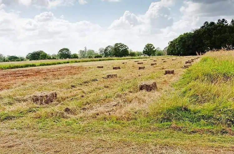 Fourth view of Homely land listing, 0 Cnr Ballard Rd & Kandanga Imbil Rd, Imbil QLD 4570