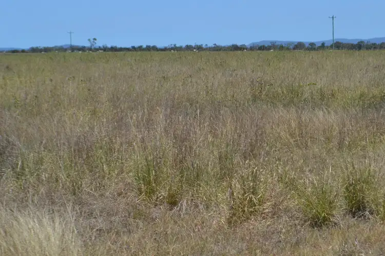 Sixth view of Homely rural property listing, 400 South Yaamba Road, Alton Downs QLD 4702