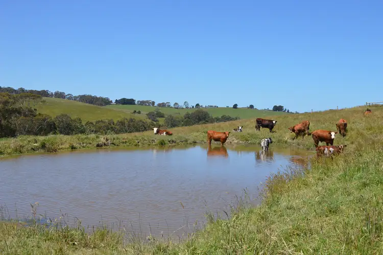 Second view of Homely rural property listing, 355 Woorarra Road, Welshpool VIC 3966