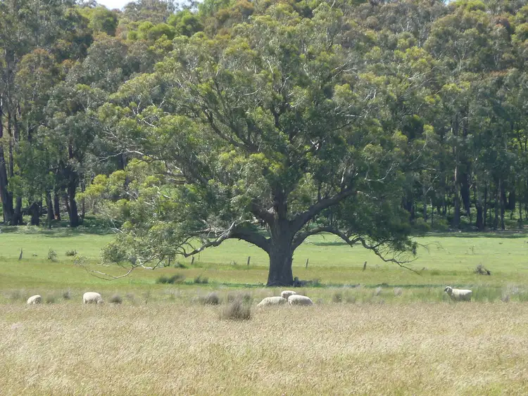 Seventh view of Homely rural property listing, CA's 3A &3C Cnr Yankee Flat Rd & McCarthys Rd, Navigators VIC 3352