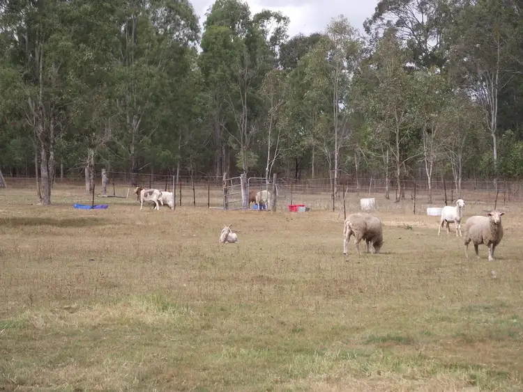 Seventh view of Homely house listing, 2 Kelly Road, Spring Creek QLD 4343