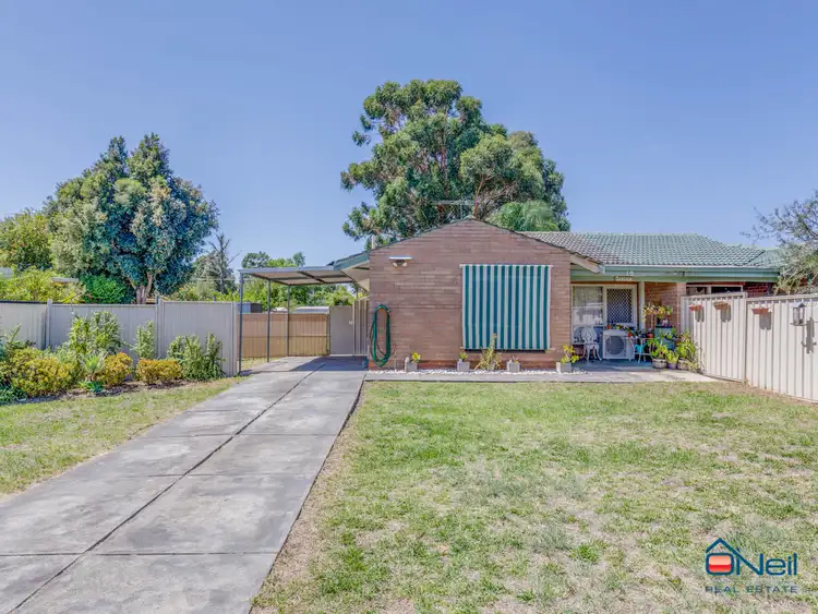 Main view of Homely house listing, 19 Grealis Street, Armadale WA 6112