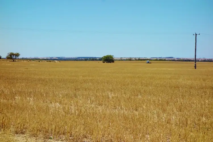 Third view of Homely rural property listing, "Wangumma" 1457 Dandagin Road, Jilakin WA 6365