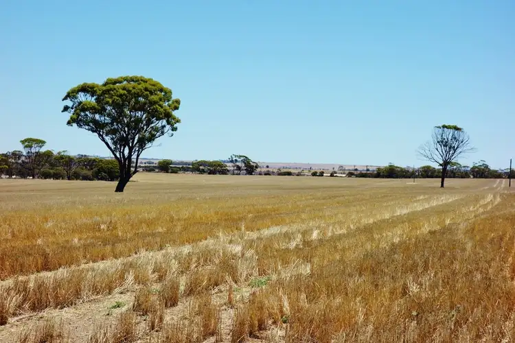 Main view of Homely rural property listing, "Wangumma" 1457 Dandagin Road, Jilakin WA 6365
