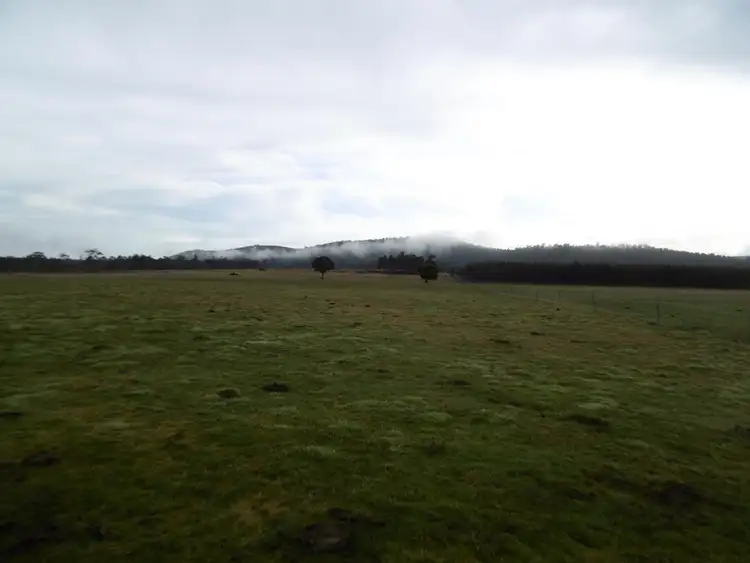 Fourth view of Homely rural property listing, 519 Felmingham Road, Parkham TAS 7304