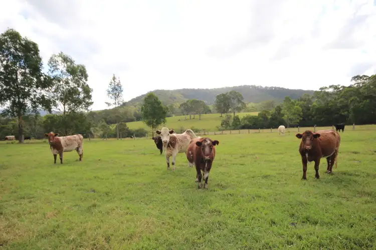 Third view of Homely rural property listing, 58 Jones Road, Byabarra NSW 2446