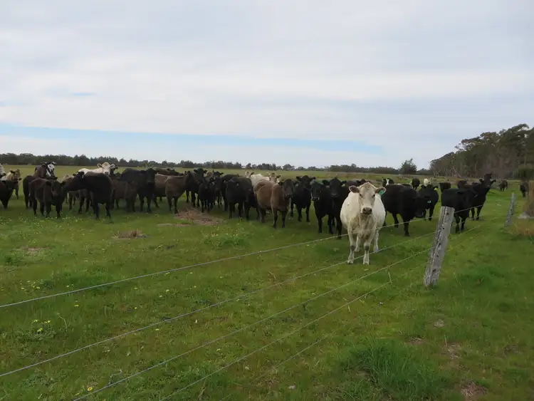1530 Hill Road, West Coolup WA 6214