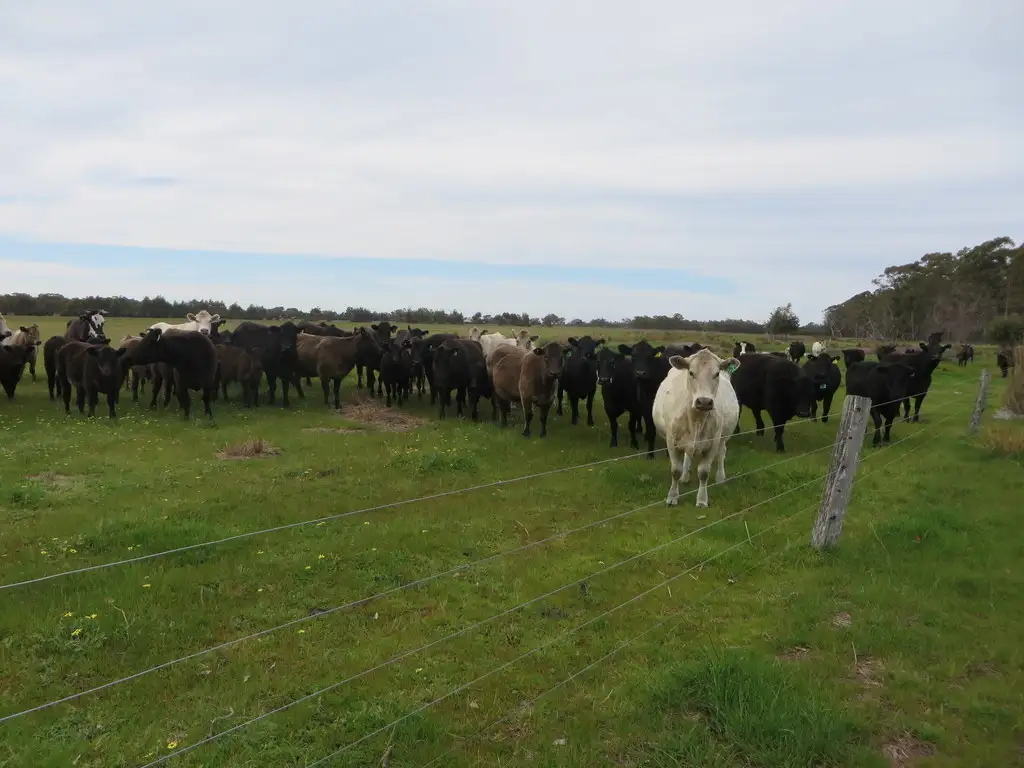 Main view of Homely rural property listing, 1530 Hill Road, West Coolup WA 6214