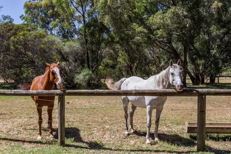 3 Wungong South Rd, Wungong WA 6112