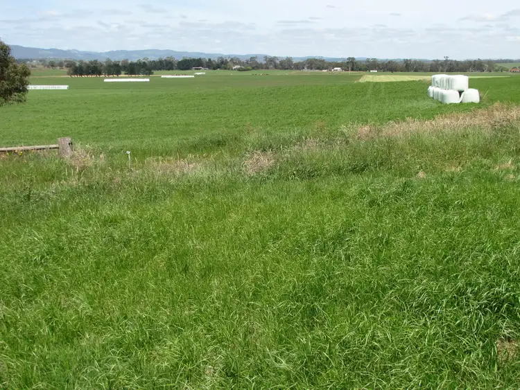 Sixth view of Homely rural property listing, 140 Golden Gully Road, Driffield VIC 3840