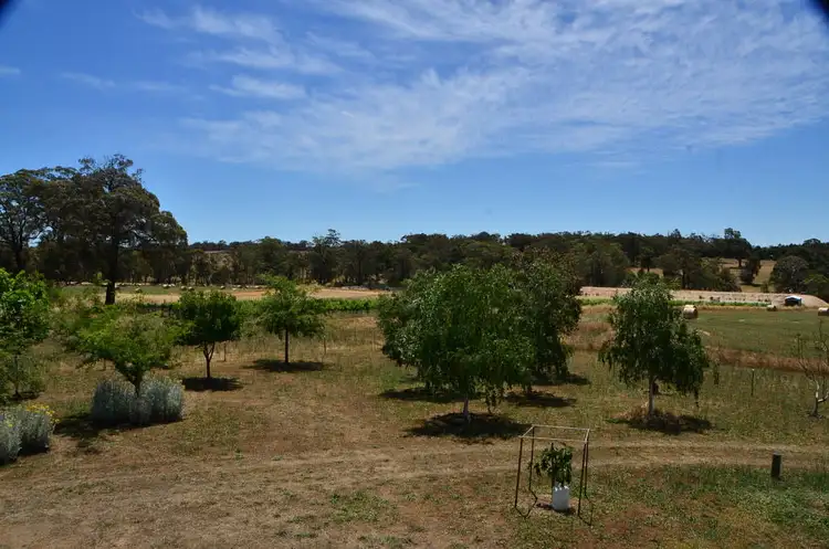 Fourth view of Homely rural property listing, 356 Ward Road, Mount Barker WA 6324