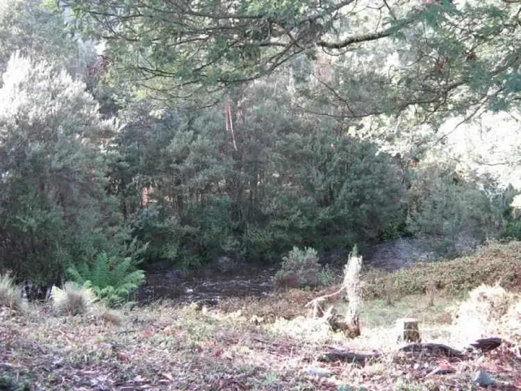 Fifth view of Homely rural property listing, - Loongana Road, Loongana TAS 7315