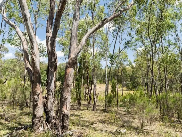 Fourth view of Homely rural property listing, 79 Cudgegong Road, Rylstone NSW 2849