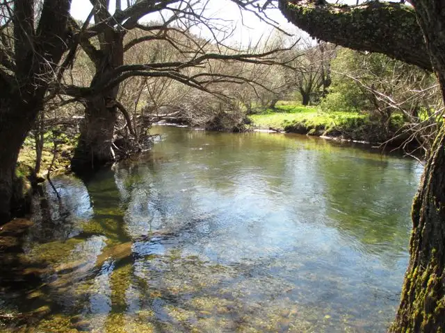 Second view of Homely rural property listing, - Licola Road, Jamieson VIC 3723