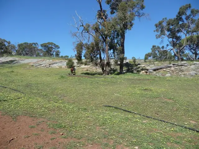 Seventh view of Homely rural property listing, 551 Butchers Road, Beverley WA 6304