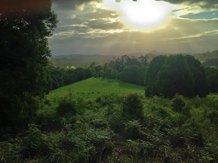 Fifth view of Homely rural property listing, 358 Kin Kin Road, Pinbarren QLD 4568