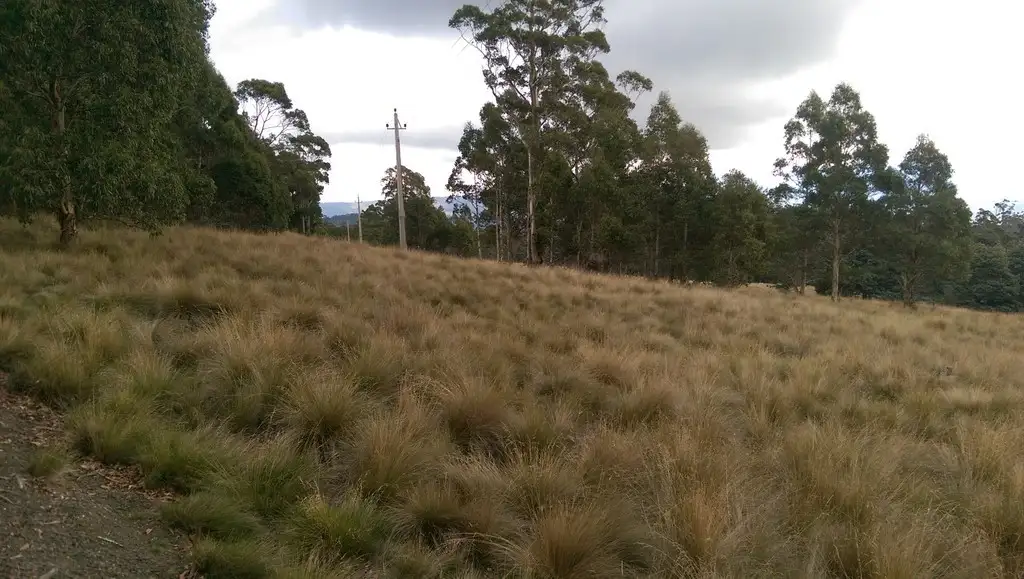 Main view of Homely rural property listing, lot 22822-600 Mt Barrow Road, Nunamara TAS 7259