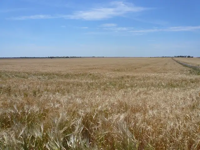 Main view of Homely rural property listing, 702 Pigick Pella Road, Rainbow VIC 3424