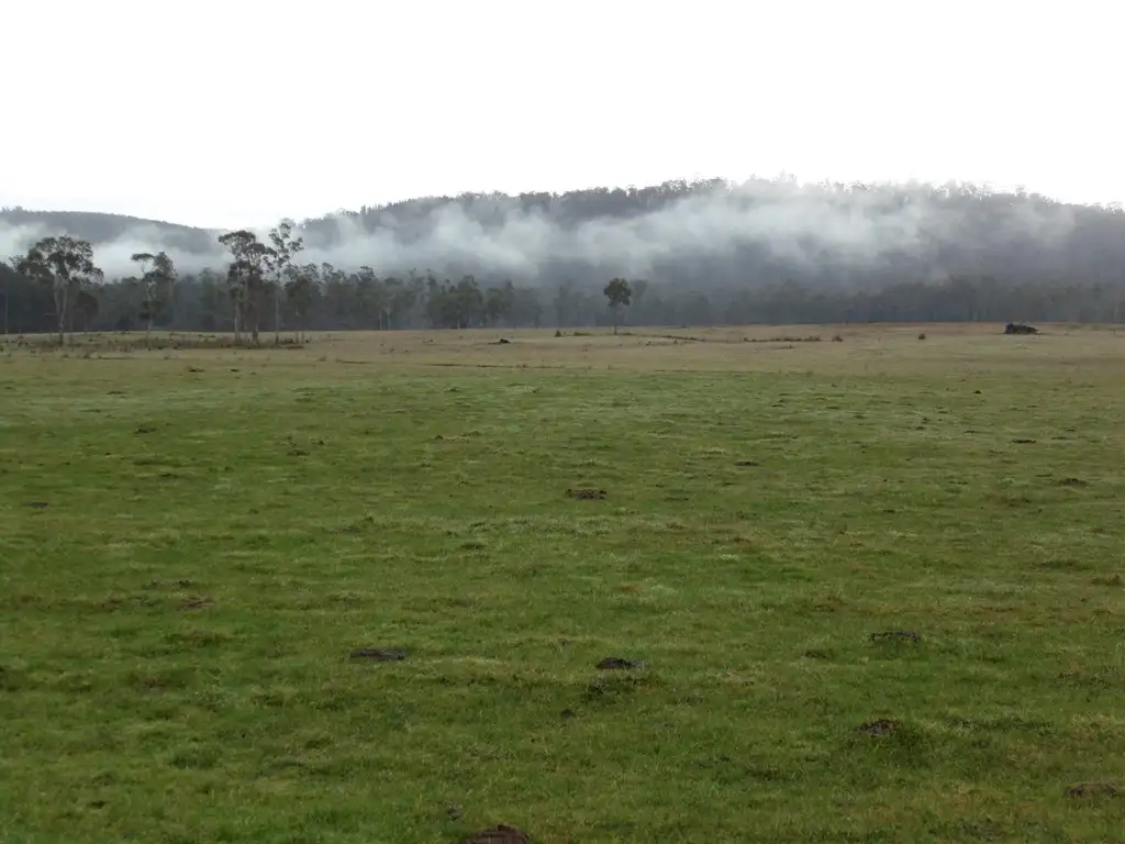Main view of Homely rural property listing, 519 Felmingham Road, Parkham TAS 7304