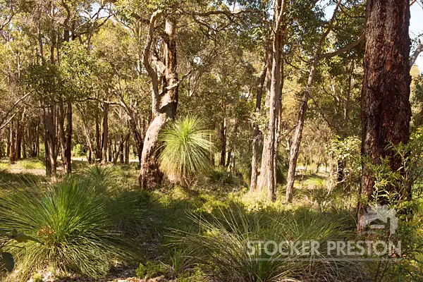Fifth view of Homely land listing, Lot 5 Woodbridge Vale, Yallingup Siding WA 6282