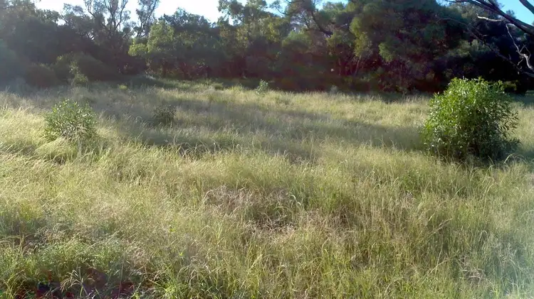 Fourth view of Homely rural property listing, '' PENAROO", Eulo QLD 4491