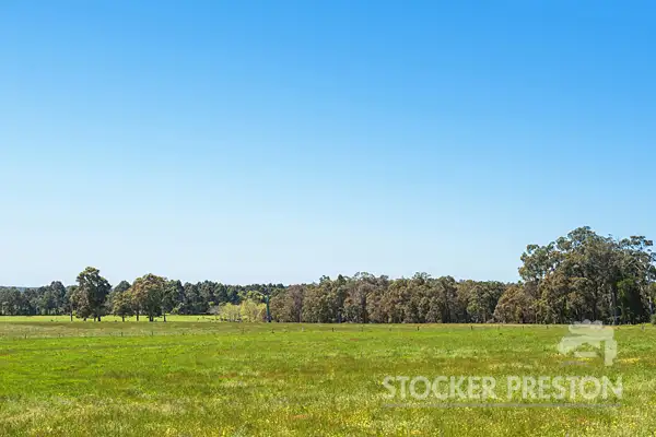 Fourth view of Homely rural property listing, 1580 Rosa Brook Road, Rosa Brook, Margaret River WA 6285