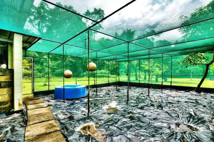 Seventh view of Homely house listing, 1466 Cape Tribulation Road, Daintree QLD 4873