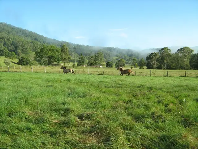 Fourth view of Homely rural property listing, 1730 Collins Creek Road, Kyogle NSW 2474