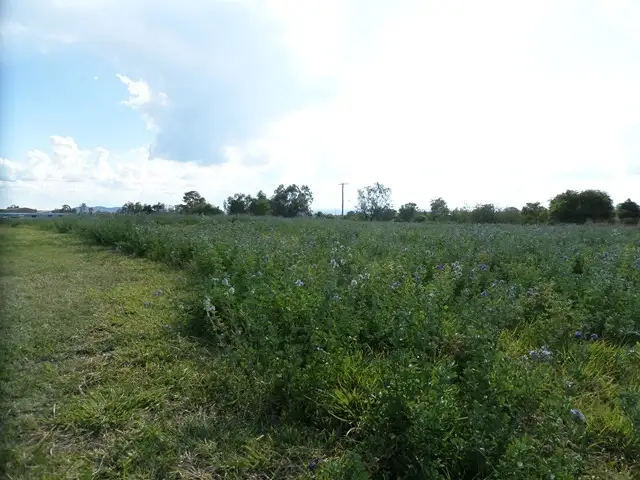 Main view of Homely rural property listing, 157 RAILWAY STREET, Gatton QLD 4343