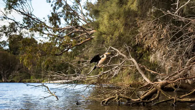 Second view of Homely land listing, Lot 529 Colyton St, Viveash WA 6056