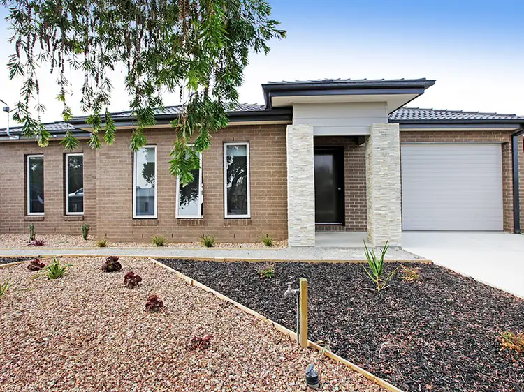 29 Ivy Street, Newcomb VIC 3219