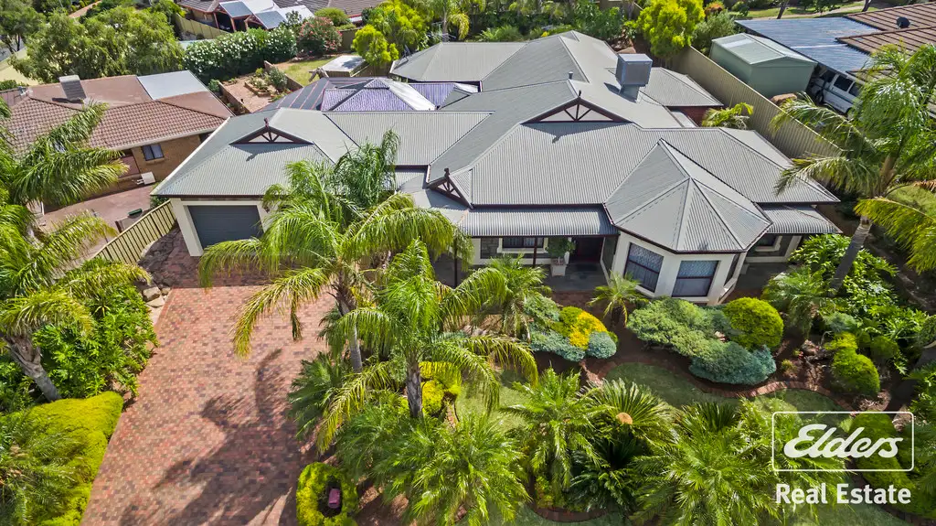 Main view of Homely house listing, 29 Cork Road, Gawler East SA 5118