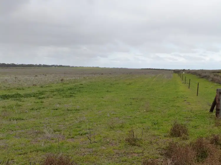 Fourth view of Homely rural property listing, 36 Haeusler Road, Lameroo SA 5302