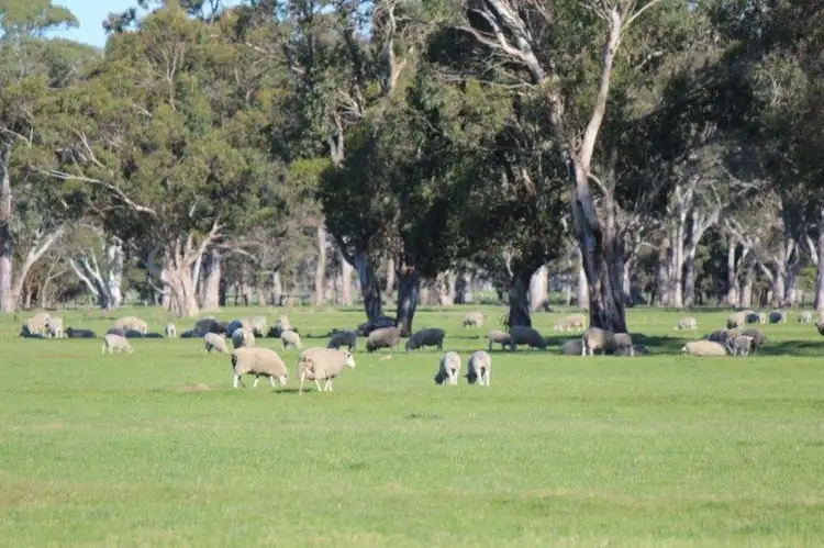 Seventh view of Homely rural property listing, 1 Wattle Range Road, Millicent SA 5280