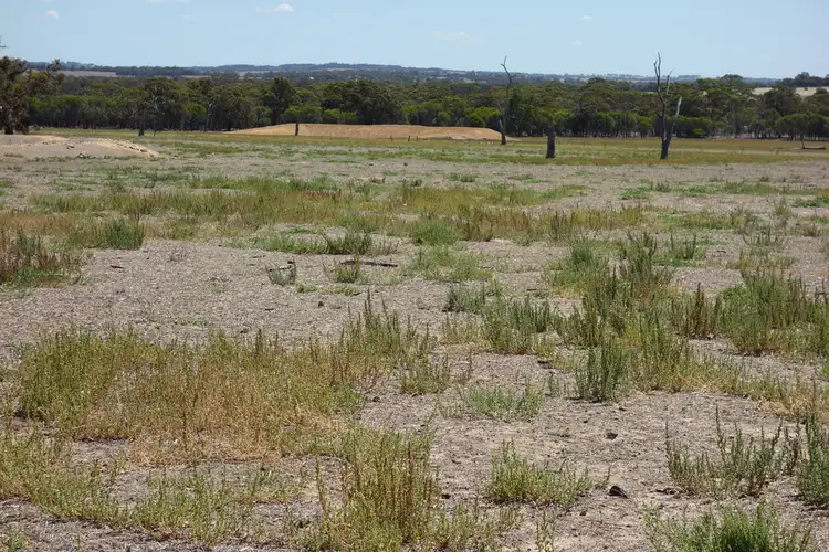 Sixth view of Homely rural property listing, Lot 3837 Spriggs Fraser Road, Wagin WA 6315