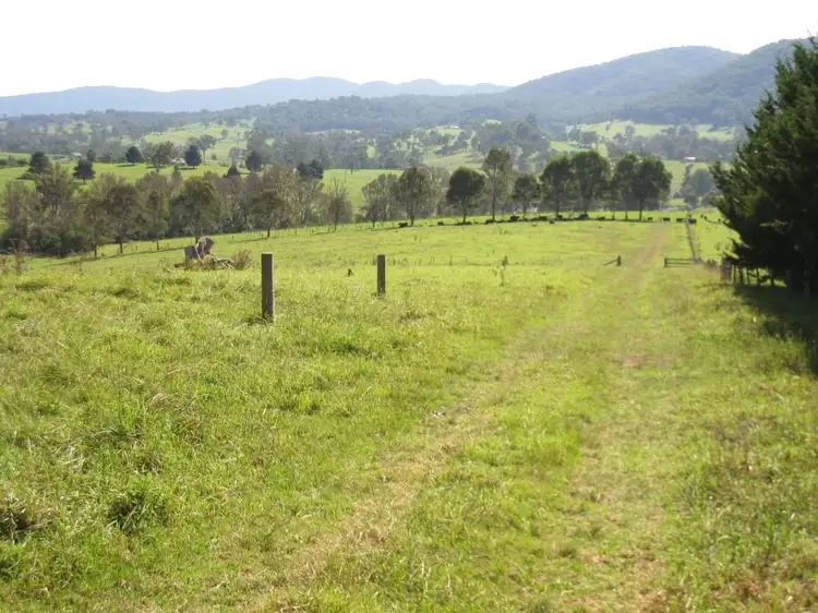 Fifth view of Homely rural property listing, 348 Wandella Rd, Cobargo NSW 2550