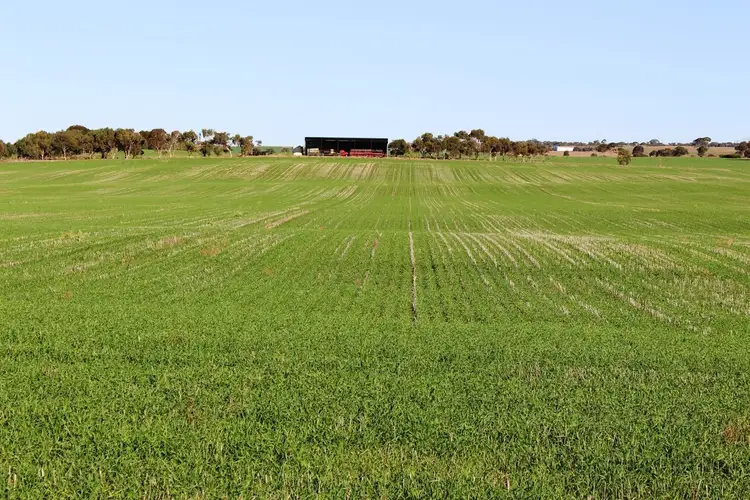 Main view of Homely rural property listing, 224 Burnlea Road, Langhorne Creek SA 5255